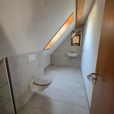 Moderne 6-personen-wohnung Mit Dachterrasse Am Pizol * Mels