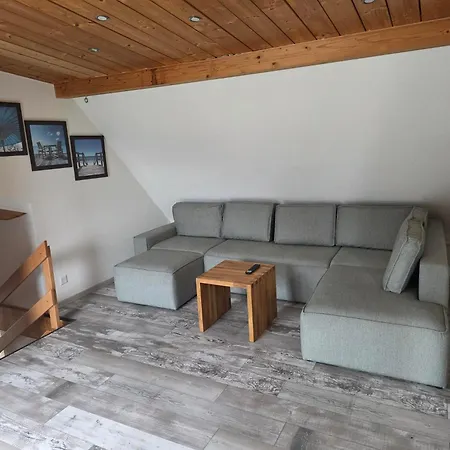 Moderne 6-personen-wohnung Mit Dachterrasse Am Pizol Appartement Mels
