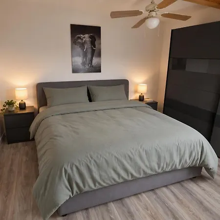Moderne 6-personen-wohnung Mit Dachterrasse Am Pizol * Mels